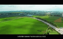 农业产业集群研究动态