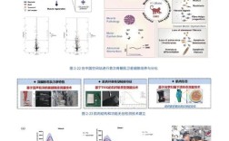 抗寒基因研究进展如何突破应用瓶颈？