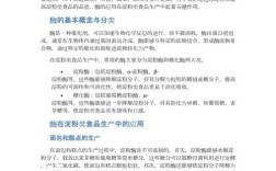 酶工程研究应用现状与未来方向如何？