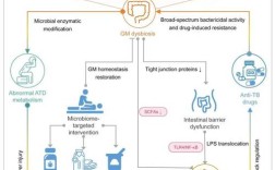 气候与环境研究影响因子最新多少？