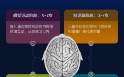 学前教育如何促进儿童认知发展？