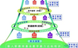 教师研究的层次具体有哪些？