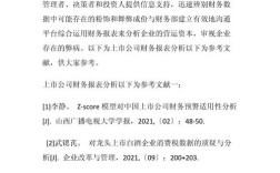 会计电算化报告参考文献有哪些？