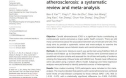 SCI参考文献为何会无关？