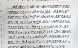 安全事件的研究小论文