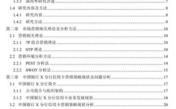 Zara国内研究现状聚焦哪些核心问题？