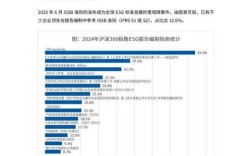 上市公司披露问题研究