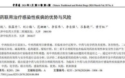 医药连锁信息化参考文献有哪些核心方向？