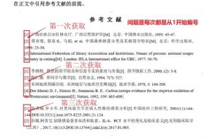 参考文献如何正确著录报纸文献？