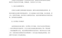 存在哪些关键问题？