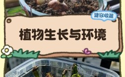 花盆效应如何限制教育生态的真实发展？