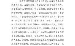 未成年社区矫正参考文献有哪些？