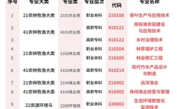 教育与职业发展，CSSCI期刊视角下的核心素养培育与就业市场适配研究