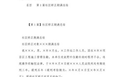 青少年社区矫正研究论文