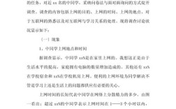网络时代的教育变革，双刃剑效应下的机遇、挑战与应对策略研究