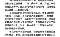 篮球场地建设标准与技术研究文献综述