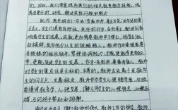 体验教育实践反思，如何深化实践成效？