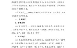 ERP系统实验报告参考文献如何规范引用？