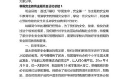 安全纪律教育班会总结