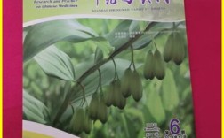 现代中药研究与实践有何新突破？