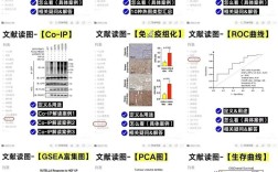 CNKI参考文献分析如何操作？