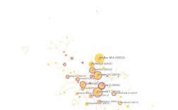 西方大数据研究现状如何？