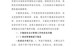 财务治理存在哪些关键问题？