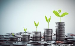 我国会计环境研究背景有何深意？