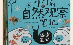 幼儿如何在与自然的互动中成长？