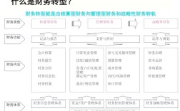 事业单位会计改革研究