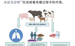 动物防疫法国外参考文献