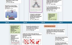 期刊研究时间表示方法有哪些？