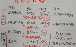 农村社会保障体系参考文献有何核心发现？