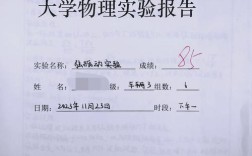 物理选题背景与研究过程如何？