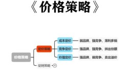某企业定价策略研究，基于市场环境与消费者行为的动态优化路径探析