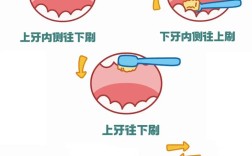 正确刷牙视频，方法真的对吗？