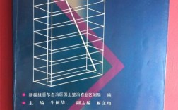 新疆发展面临哪些挑战与对策？