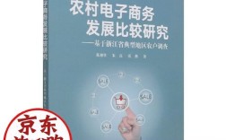 电子商务发展比较研究，如何科学比较各国发展水平？