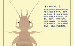 寄生虫课外书参考文献有哪些推荐？