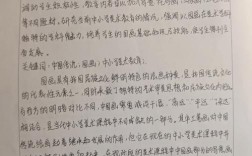 1500字教育研究文献，核心观点何在？