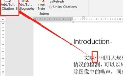 如何在word中添加参考文献
