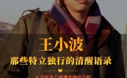 王小波的黑色幽默研究