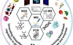 天然产物开发研究的应用，从药物研发到食品保健的多领域价值探索