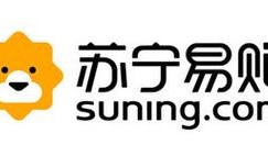 苏宁易购的参考文献有哪些？