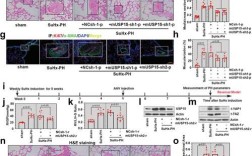 食品免疫技术的参考文献