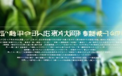 大健康创业项目大全，大健康创业项目大全名称