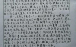 麦当劳实习报告参考文献有哪些？