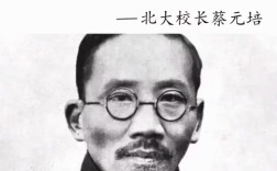 蔡元培教育思想的核心是什么？