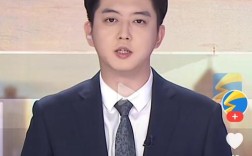 国内播音主持研究现状如何？