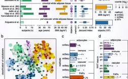 统计研究杂志排版要求有哪些关键点？